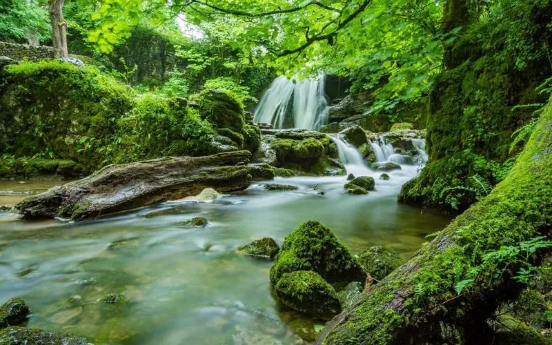 高效高效